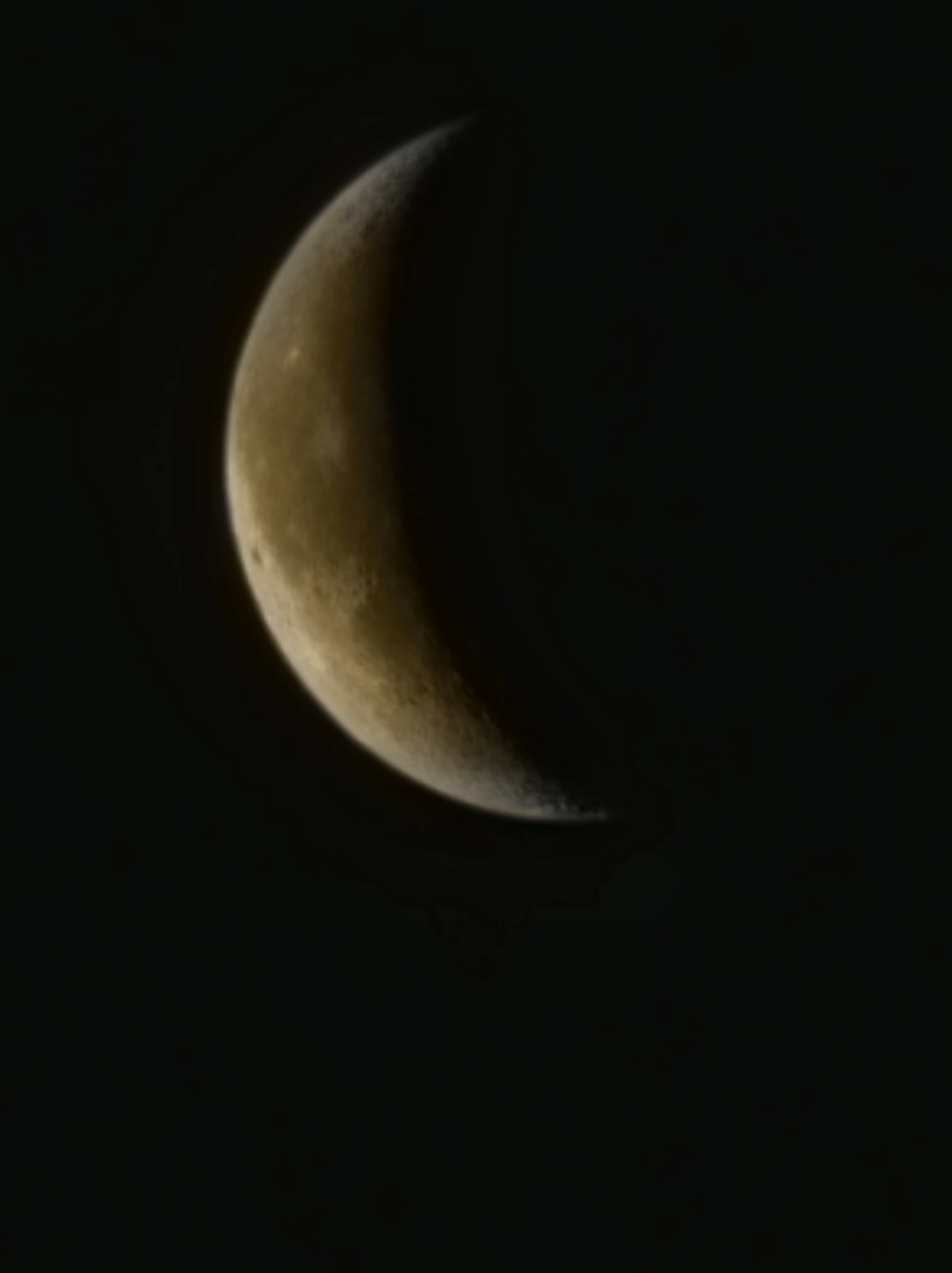 The Autistic Experience